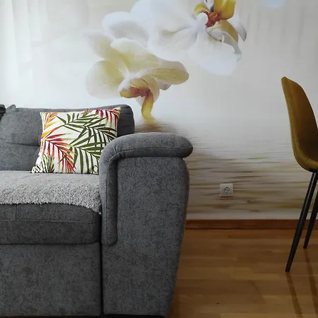 Orchis Apartment Kragujevac Exterior photo
