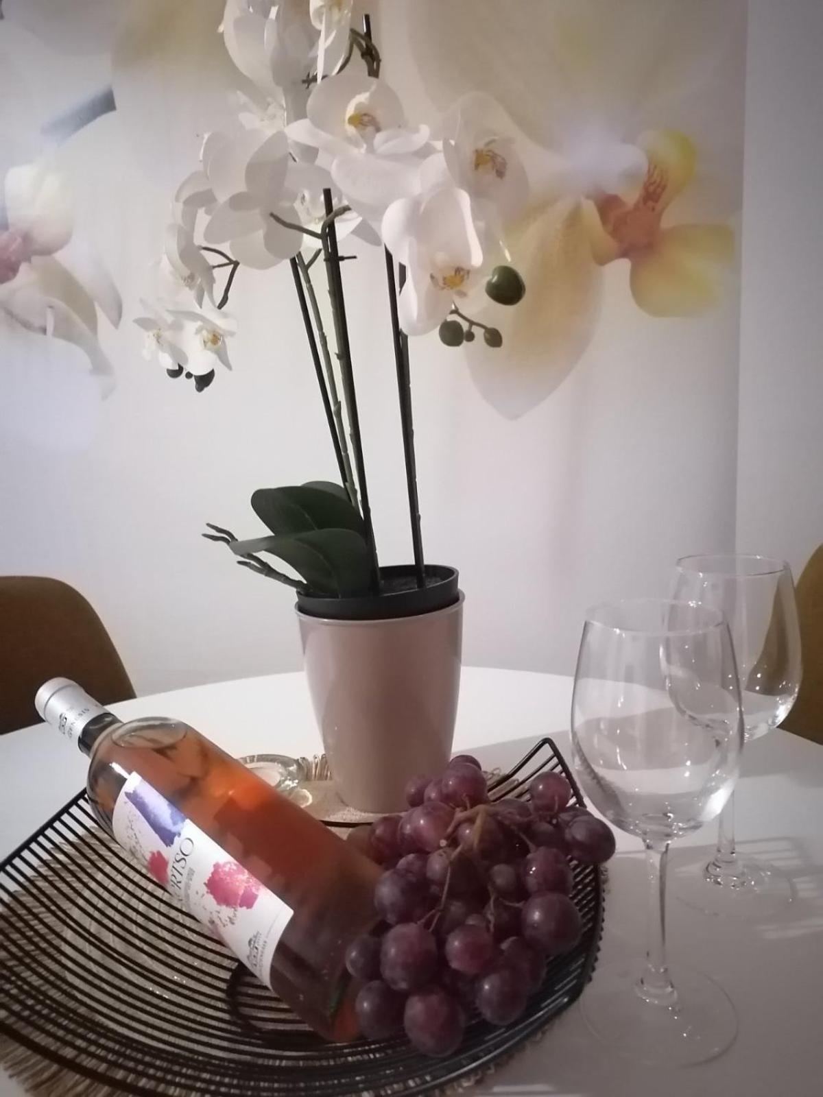 Apartment Orchis Kragujevac