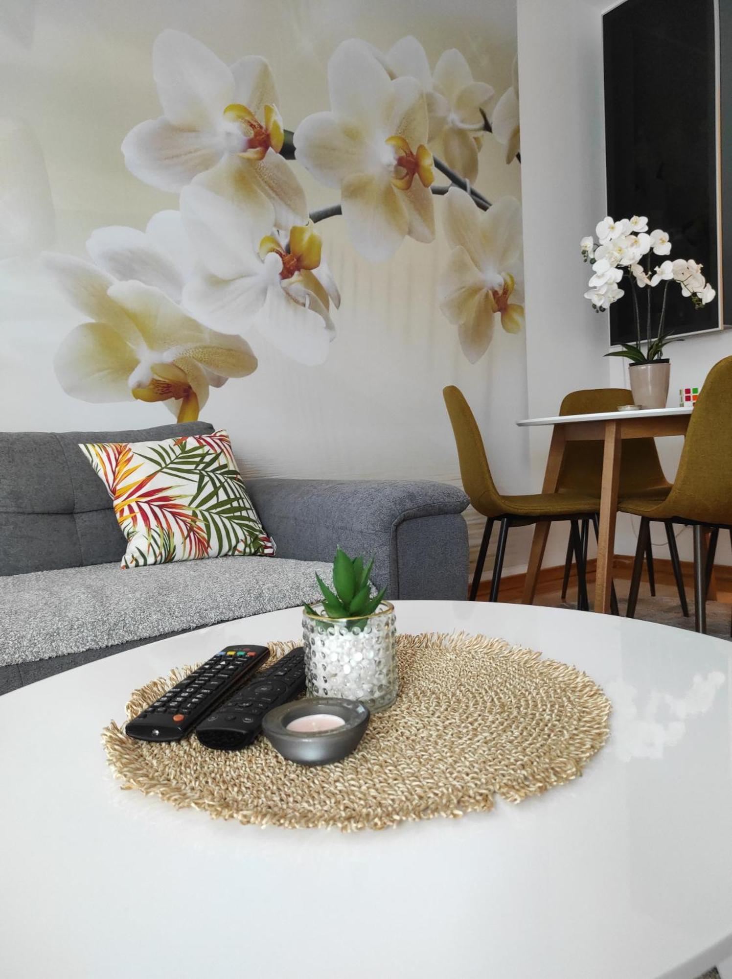 Apartment Orchis