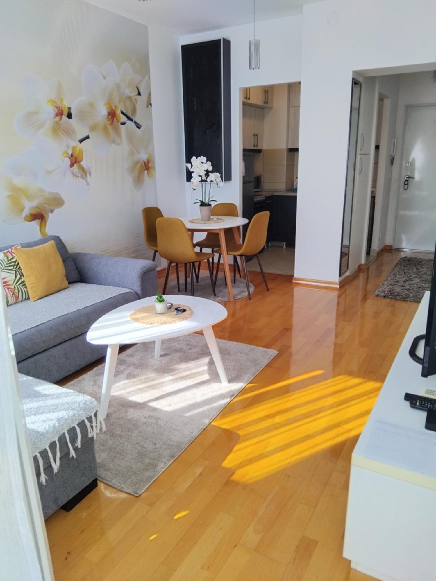 Apartment Orchis Kragujevac